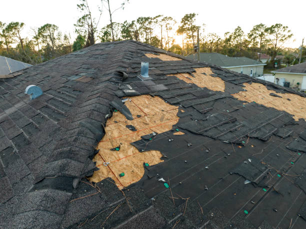 Best Steel Roofing  in Dripping Springs, TX